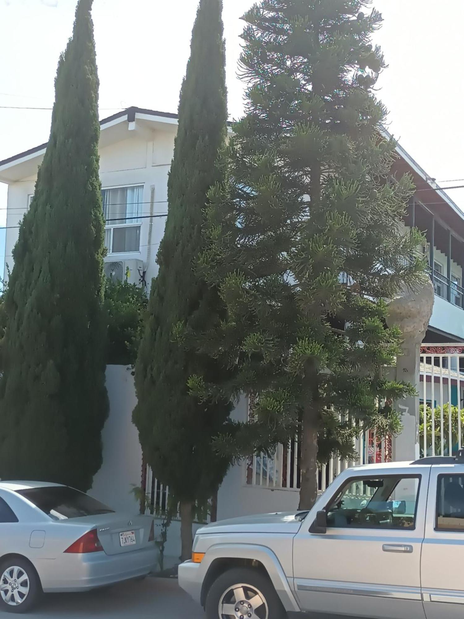 Apartamentos Rosarito.!! Con Vista Al Mar ! Bagian luar foto